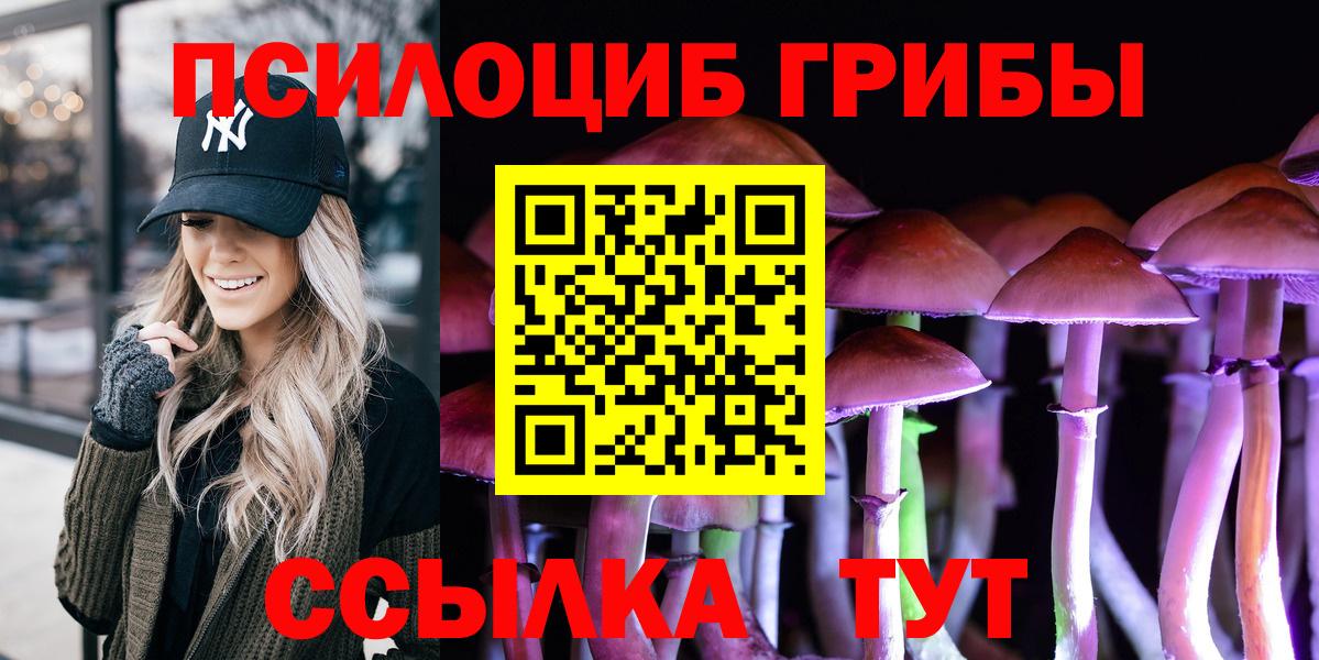 Ивантеевка  Псилоцибиновые грибы мицелий  Вход с VPN 