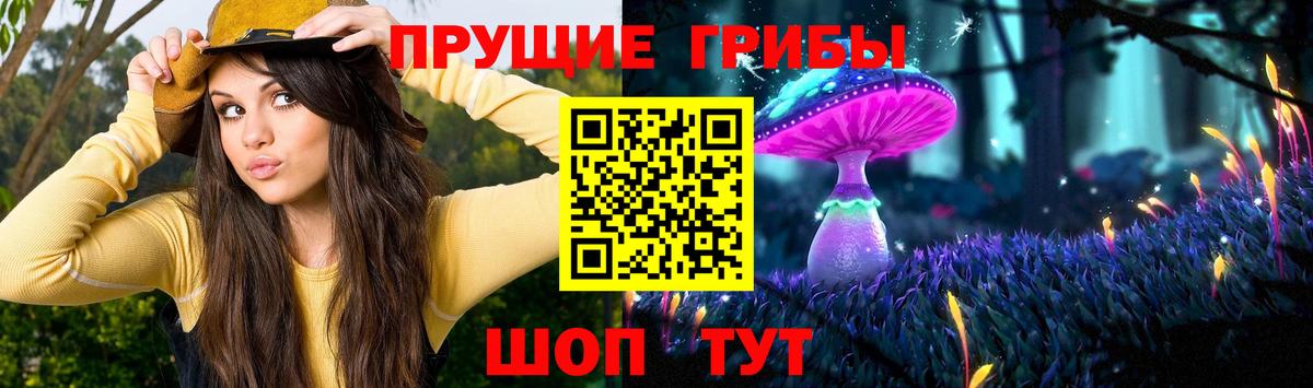 Псилоцибиновые грибы Psilocybe Ивантеевка